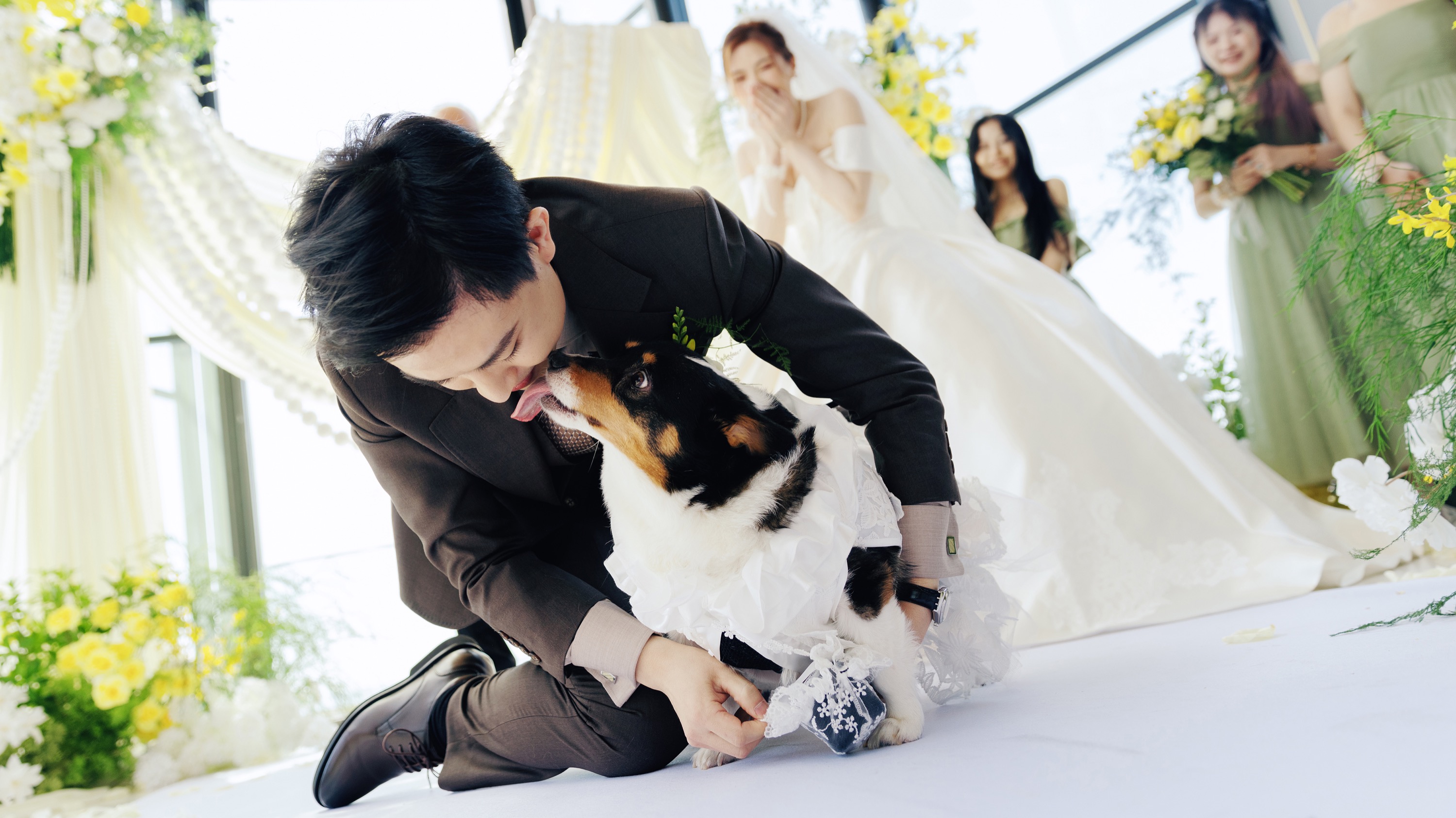 QINGFENG selected wedding photograph 16