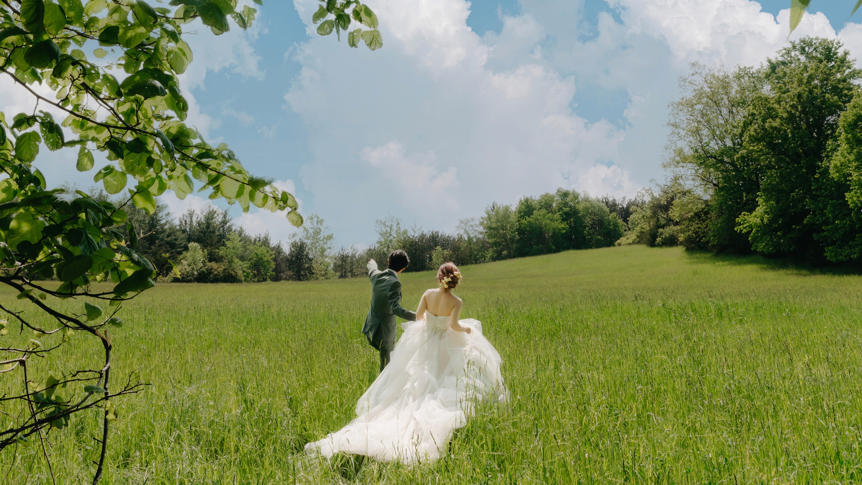 QINGFENG selected wedding photograph 35