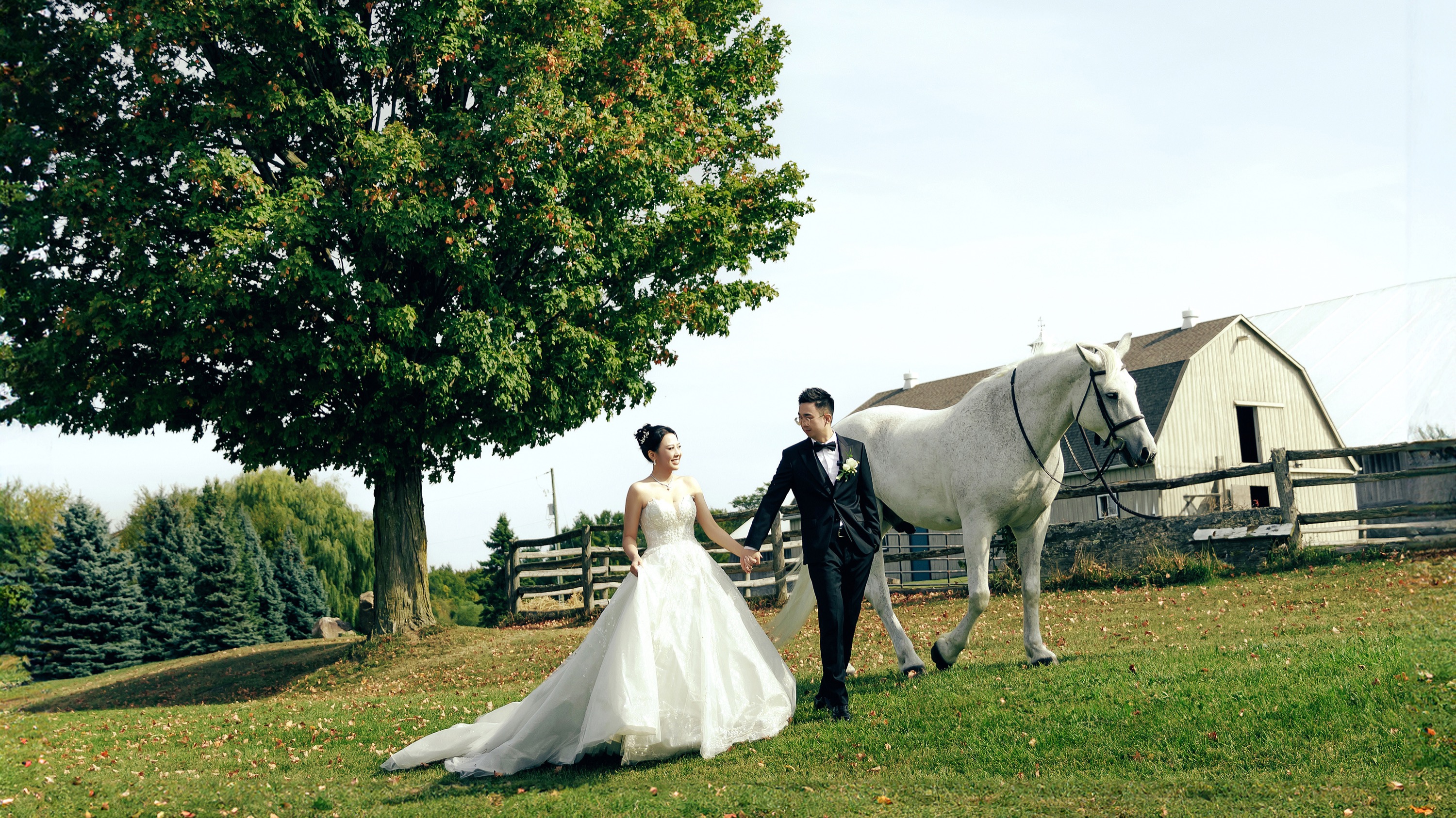 QINGFENG selected wedding photograph 38